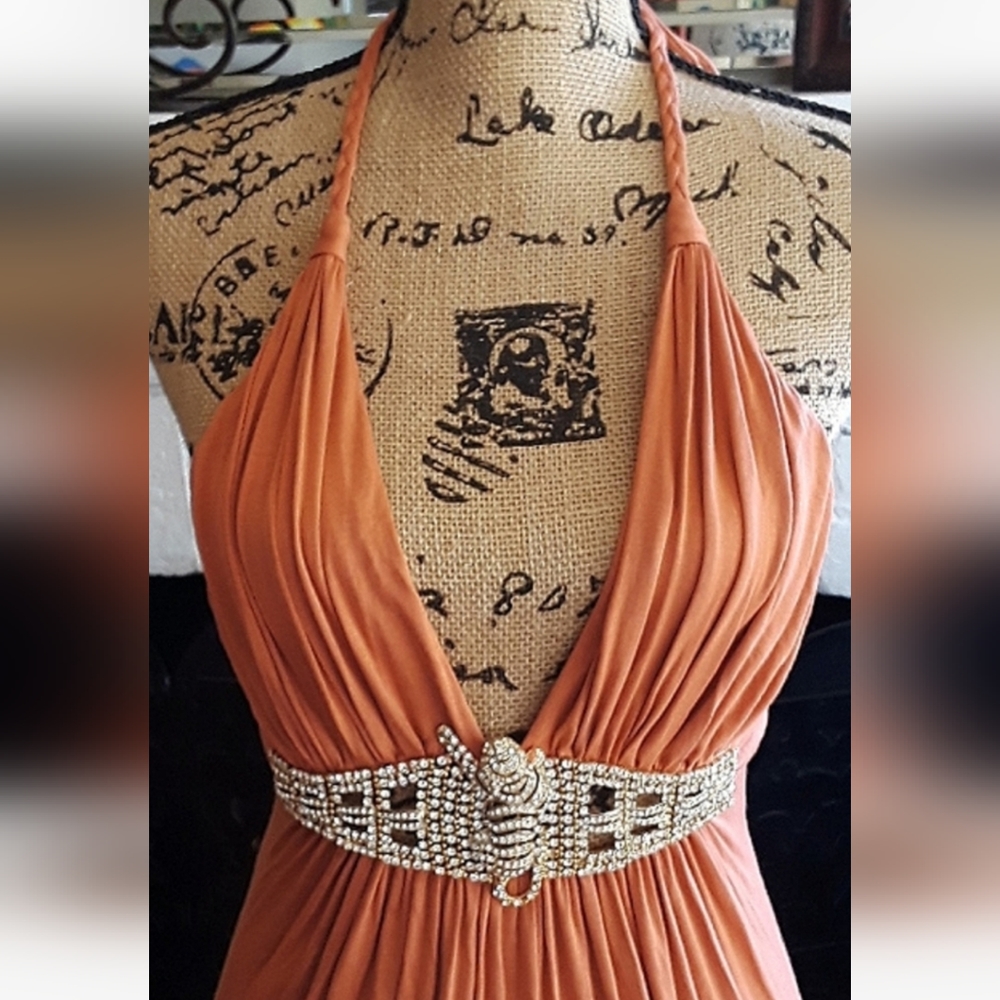 SKY BRAND WOMEN'S ORANGE HALTER LONG MAXI DRESS JEWELED TIGER RHINESTONES SZ S - Picture 2 of 13